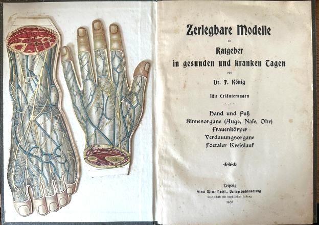 Bild von Objekt 81