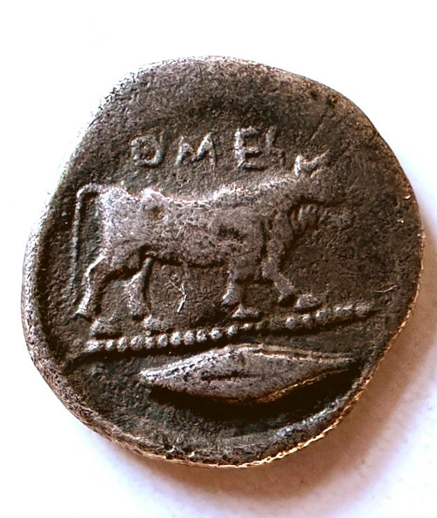 Bild von Objekt 1030