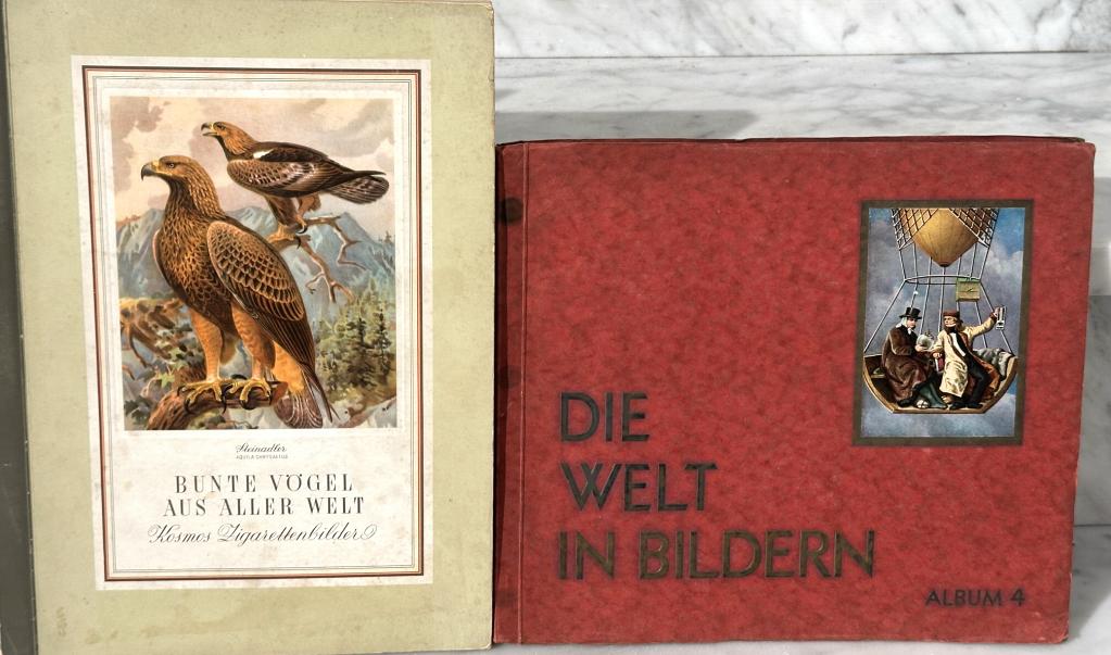 Bild von Objekt 46