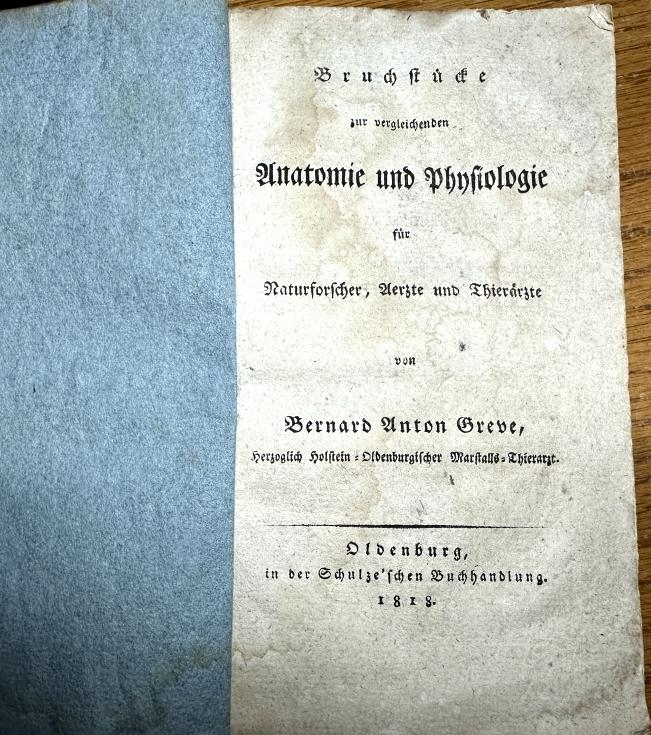 Bild von Objekt 138