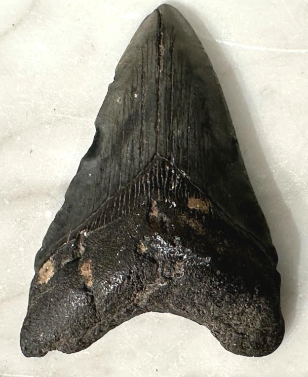 Bild von Objekt 851
