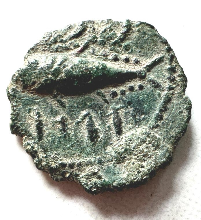 Bild von Objekt 1023