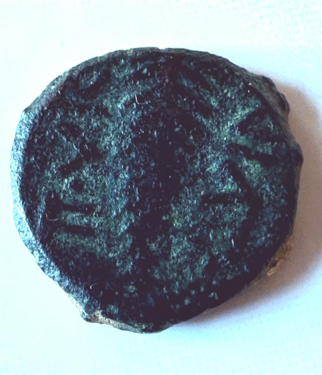 Bild von Objekt 905