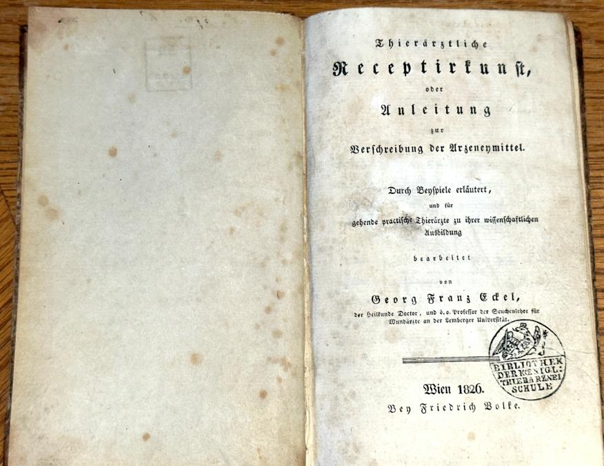 Bild von Objekt 124