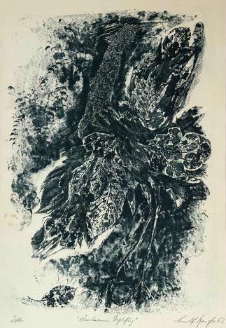 Bild von Objekt 607