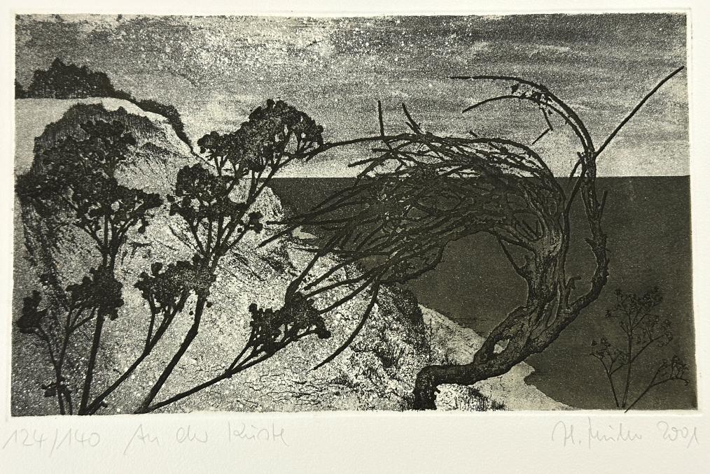 Bild von Objekt 591